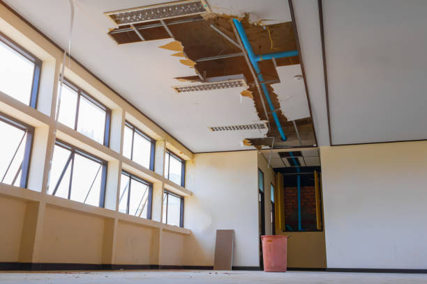 Best Flood restoration services  in Bogota, NJ