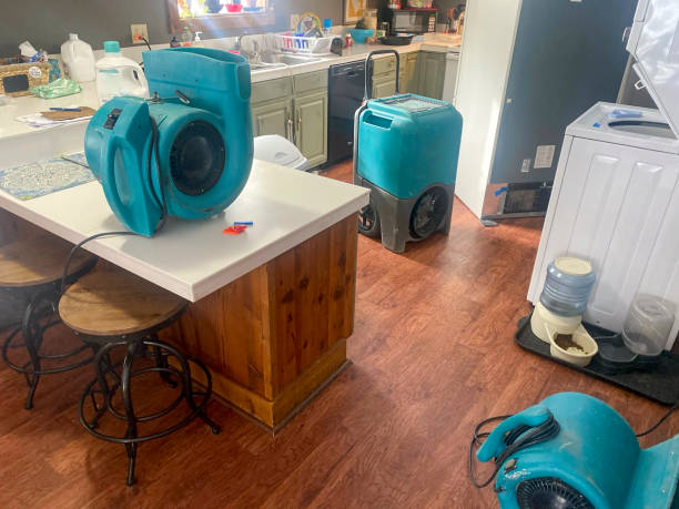 Best Fire Damage Restoration  in Bogota, NJ