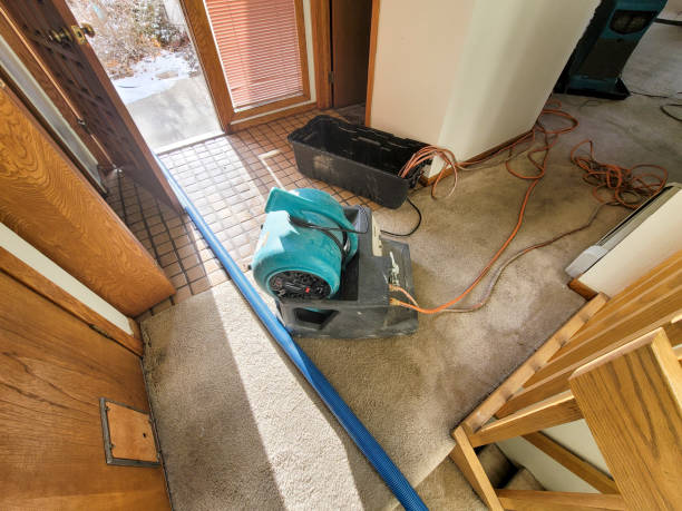 Best Professional water damage repair  in Bogota, NJ