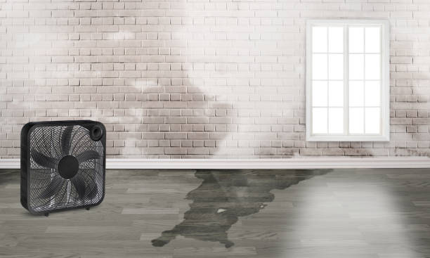 Best Commercial water damage restoration  in Bogota, NJ
