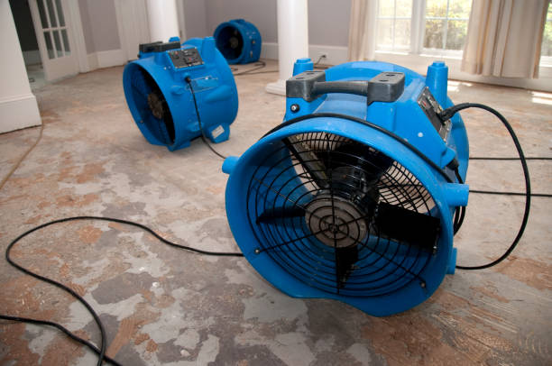 Best Water damage mitigation services  in Bogota, NJ