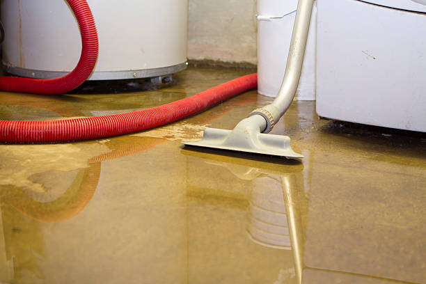 Best Carpet water damage restoration  in Bogota, NJ