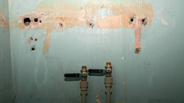 Best Water damage restoration company  in Bogota, NJ