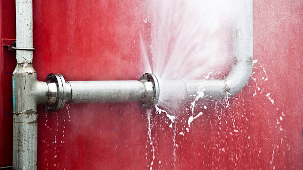 Best Mold removal after water damage  in Bogota, NJ